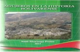 Agujeros de la història bolivarense saùl mayorga 1