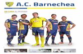 Periódico AC Barnechea #10