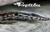Revista Reptiles