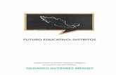 Futuro Educativo: Distritos