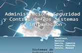 ORGANIZACIÓN DE LOS SISTEMAS DE INFORMACIÓN