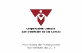 Presupuesto 2015, Corporación Colegio San Bonifacio de las Lanzas