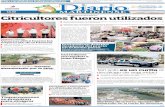 El Diario Martinense 1 de Diciembre de 2014