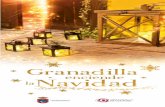 Programa de Navidad Granadilla 2014