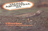 Fauna argentina 102 los chorlos ceal 1986