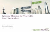 Informe general de television noviembre 2014