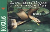 Biologia los anfibios y los reptiles en su medio