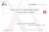 EAVMM - Condensaciones