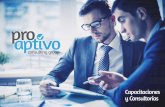 Proaptivo Consulting Group