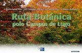 Ruta botanica polo Campus de Lugo