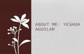About Yeshua Aguilar