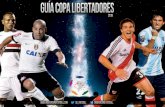 Gu­a de la copa libertadores 2015