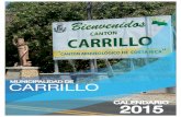 Calendario Municipalidad de Carrillo 2015