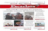 El Escarlata N°81 (Online)