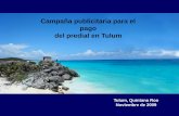 campaña predial Tulum