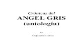 Alejandro Dolina - Crónicas del Angel Gris