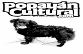 Popayancultural.com julio 2013