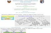 Cimentaciones Profundas - Diseño Geotécnico de Pilotes.pdf