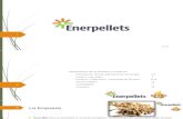 Presentación Enerpellets Es v3 0 Nov15