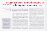 Función Biológica de Las Chaperonas Invest y Ciencia Sept 2008