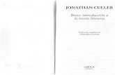 Breve Introducción a La Teoría Literaria - Jonathan Culler