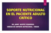 Soporte Nutricional en El Paciente Adulto Crítico