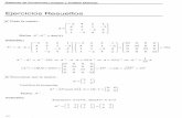 Sistemas de Ecuaciones Lineales (76 pag).pdf