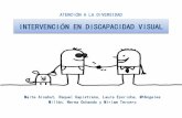 Intervención en Discapacidad Visual (Atención a La Diversidad) (1)