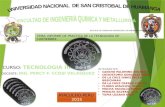 PROCESO DE CURTIEMBRE EN LA PLANTA PILOTO DE LA UNIVERSIDAD NACIONAL SAN CRISTOBAL DE HUAMANGA-AYACUCHO-PERU