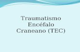 Traumatismo Encefalo Craneano - Tce