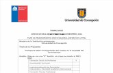 Proyecto de Mejoramiento Institucional  U. de Concepción, Profesores UdeC