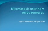 20090804 Miomatosis Uterina Fer Vargas