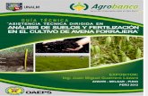 Analisis de Suelos y Fertilizacion en El Cultivo de Avena Forrajera Agrobanco