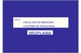 1ª Clase Neoplasia Generalidades 2015