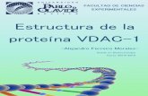 Estructura VDAC-1