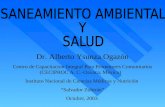 YSUNZA 2003 Saneamiento Ambiental y Salud SPANISH