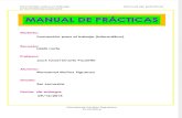 Manual de Practicas informatica