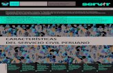 Lectura 1 - Características Del Servicio Civil Peruano