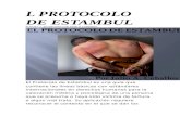 EL PROTOCOLO DE ESTAMBUL.docx