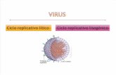 Replicación de los Virus