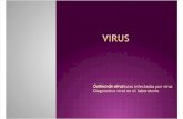 3.Virus Dxviral