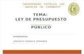 LEY DE PRESUPUESTO PUBLICO PERUANO 28411