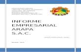 Informe Empresarial Arapa Sac