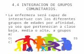 Integracion de Grupos Comunitarios