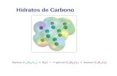 Clase 10 Hidratos de Carbono