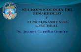 2da Tutoría Neuropsicología (2) (1)