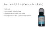Azul de Toluidina (Cloruro de Tolonio)