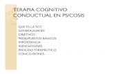 Terapia Cognitivo Conductual en Psicosis