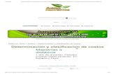 Determinacion y Clasificacion de Costos _ Agroproyectos_ Proyectos Productivos, Corridas Financieras, Planes de Negocios