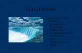 Ecosistema Parte 1